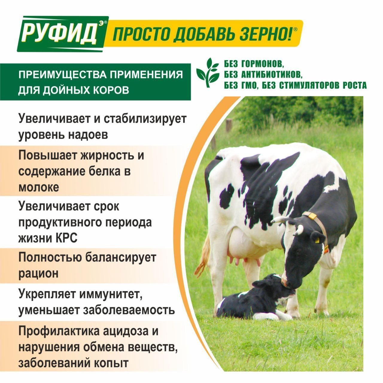 Витамины для КРС. Добавка в комбикорм, корм молочных коров, нетелей. БВМК РУФИДЭ. РОСАГРОКОРМ. 10 кг