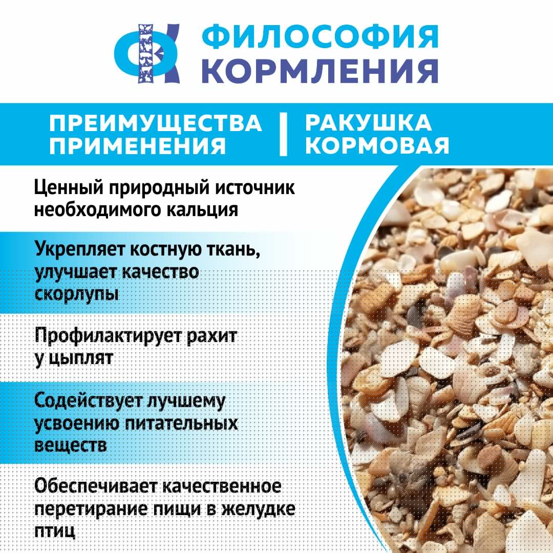 Ракушка морская кормовая для птиц. Добавка в комбикорм для кур несушек, бройлеров, уток, гусей, индеек. РОСАГРОКОРМ. 2,5 кг