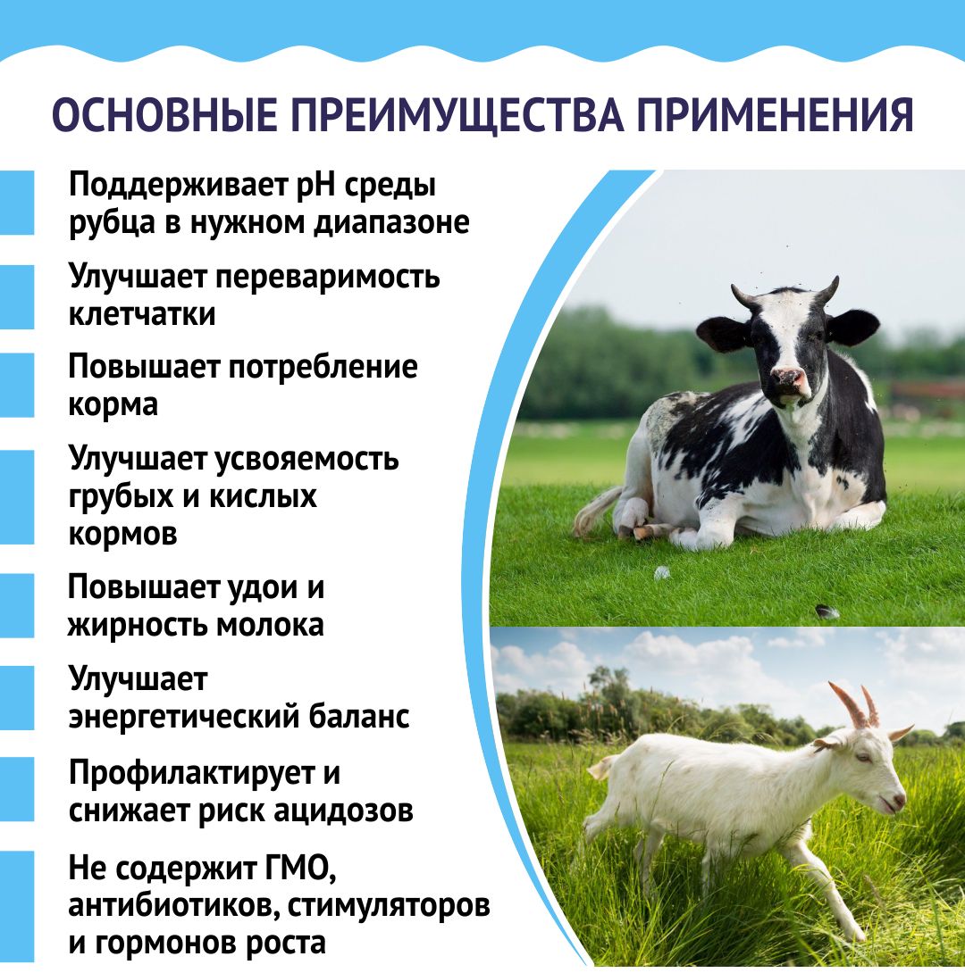 Кормовая добавка в комбикорм, корм для коров и коз. НеоБуфер Премиум. РОСАГРОКОРМ. 5 кг