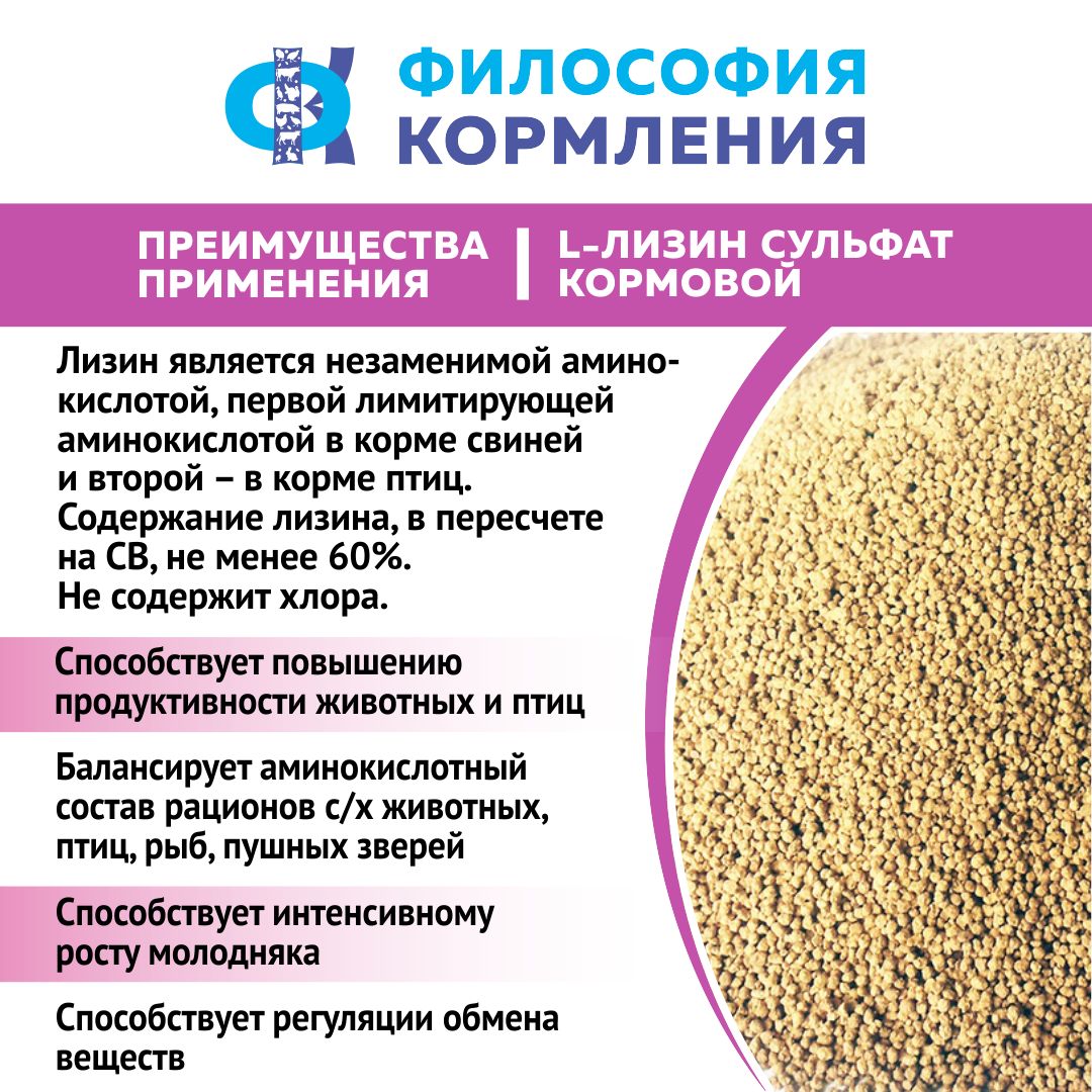 Аминокислота незаменимая L-Лизин сульфат 1 кг