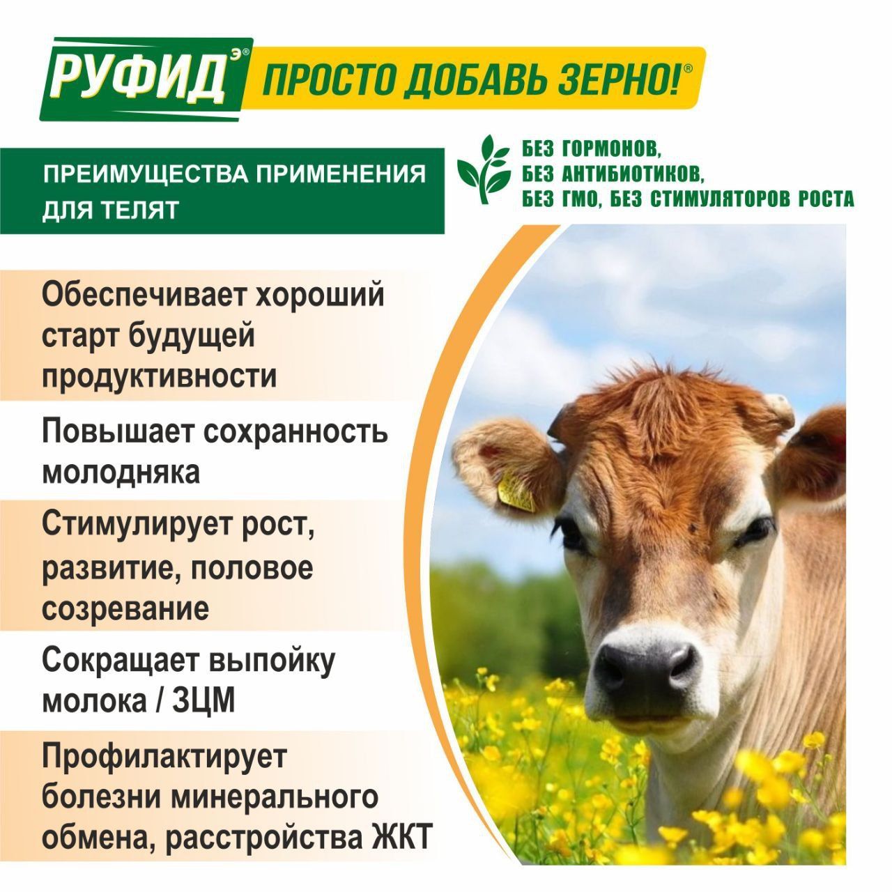 Корм для телят 14-180 дней, добавка в комбикорм, витамины для КРС. БВМК РУФИДЭ. РОСАГРОКОРМ. 8 кг