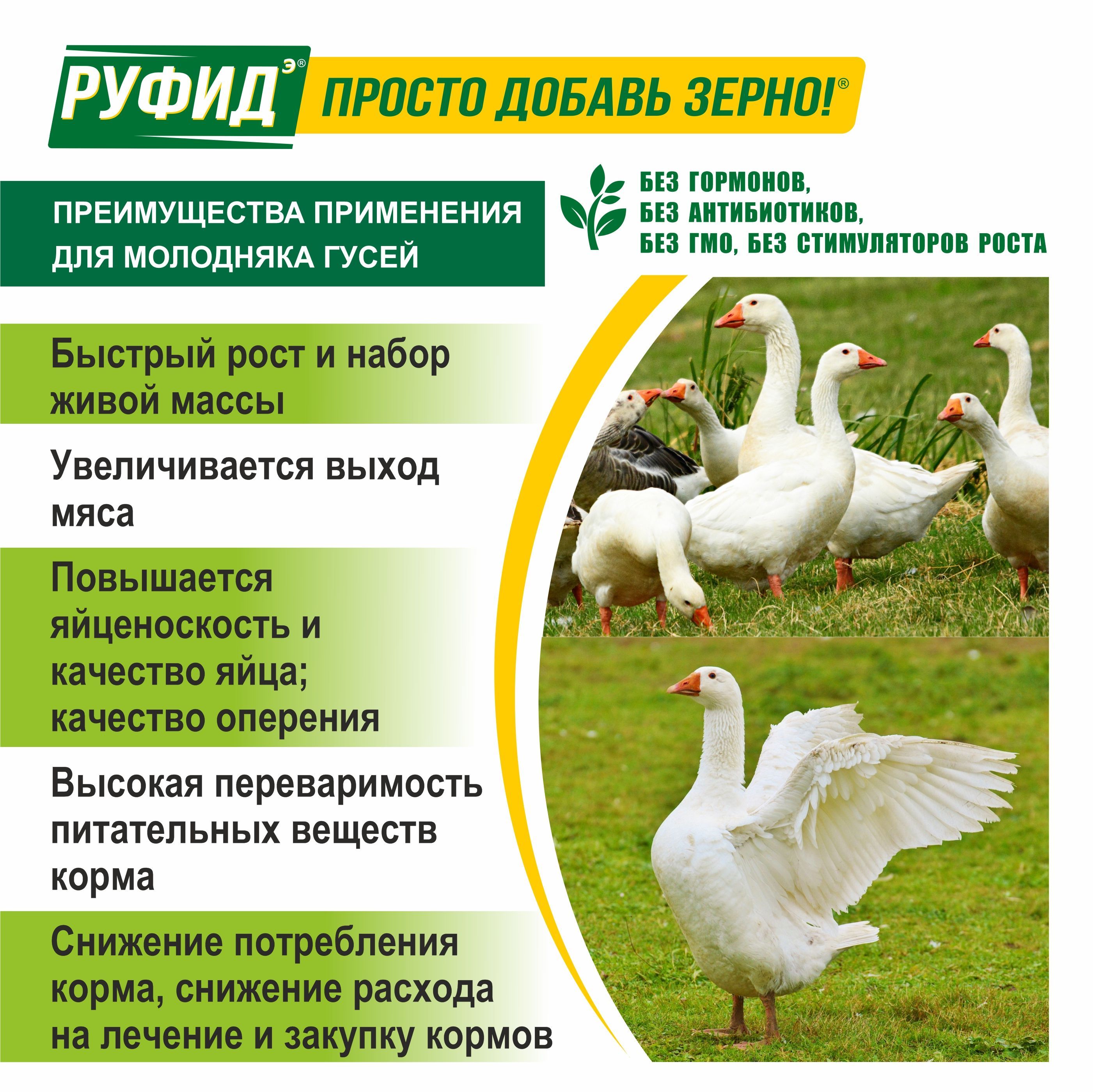 Витамины для птиц. Добавка в комбикорм. Корм гусят, гусей 4-8 недели. БВМК РУФИДэ. РОСАГРОКОРМ. 8 кг