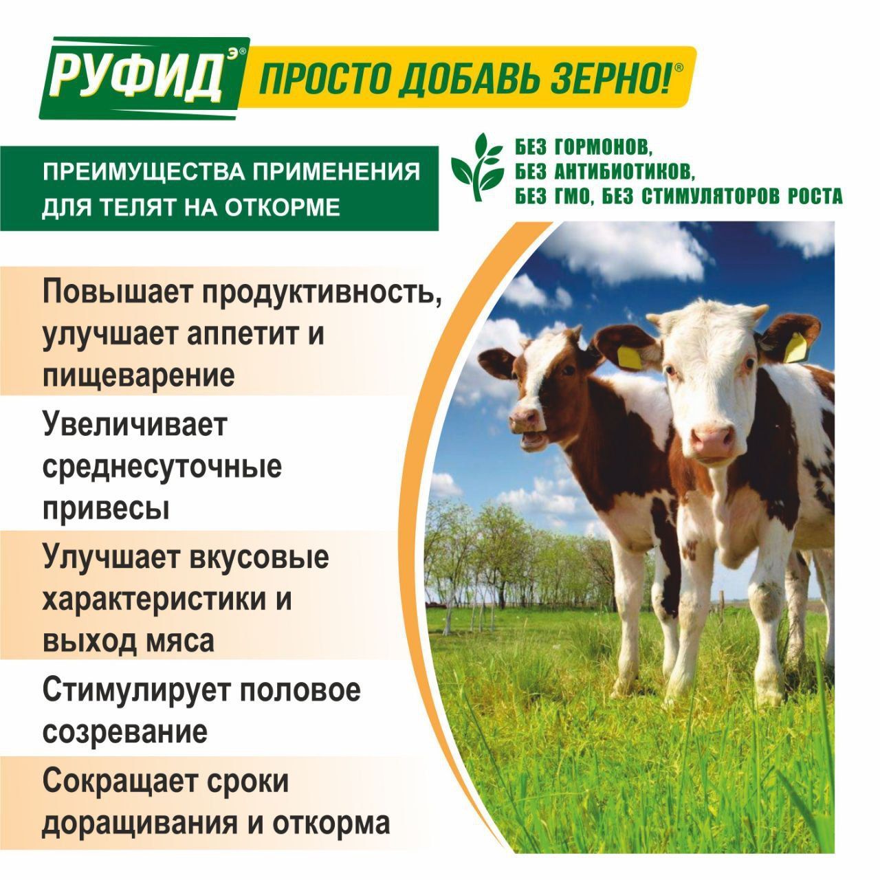 Витамины для КРС. Кормовая добавка в комбикорм для телят от 180 до 400 дней. БВМК РУФИДЭ Юниор. РОСАГРОКОРМ. 3,4 кг