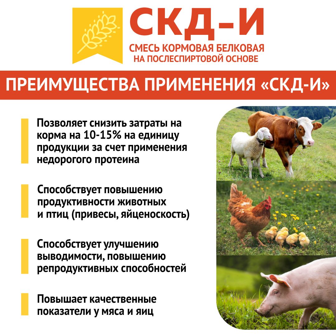 Кормовая добавка в комбикорм для птиц (куры-несушки и бройлеры) и животных (свиньи, поросята, коровы, телята) СКД-И на Послеспиртовой основе (замена кормовым дрожжам). РОСАГРОКОРМ. 1 кг