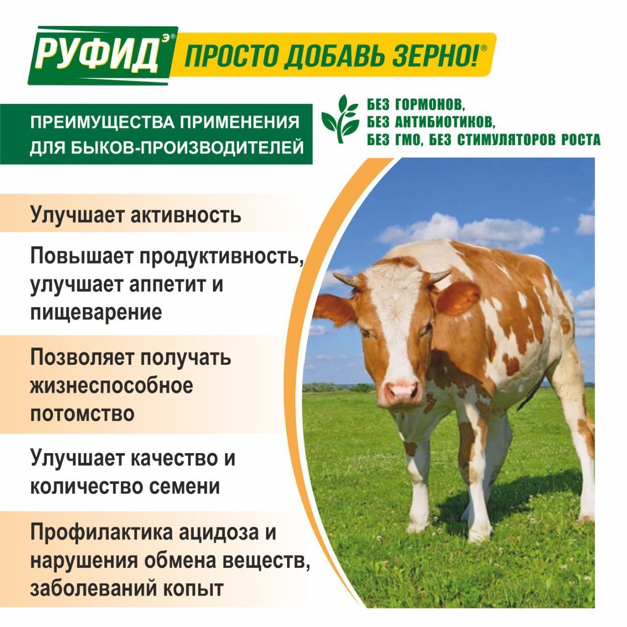 Кормовая добавка для быков производителей, концентрат для приготовления комбикорма БВМК (БВМД) РУФИДЭ 3,4 кг