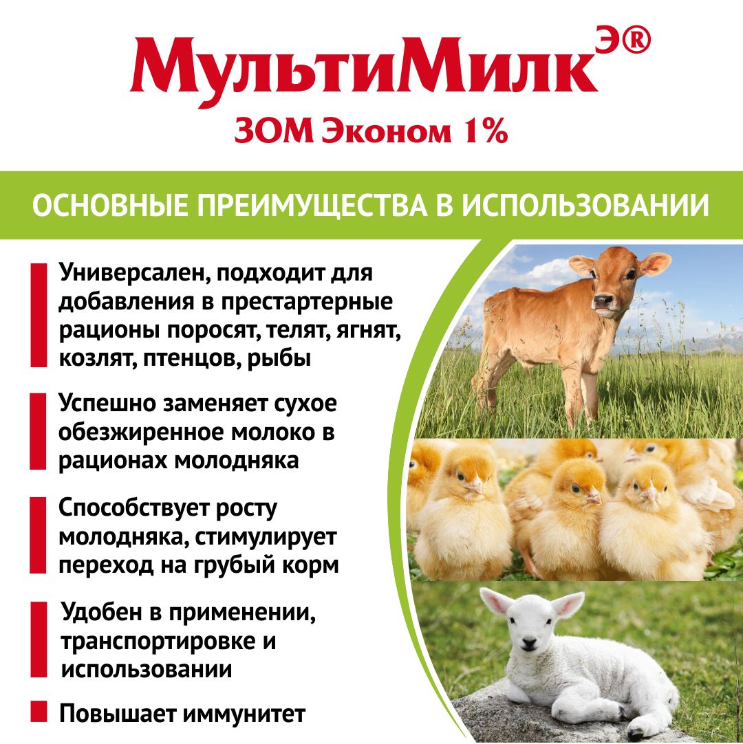 Заменитель обезжиренного молока (ЗОМ) для поросят, телят, ягнят, козлят, жеребят, буйволят, птицы МультиМилкЭ 1% Эконом 1 кг. РОСАГРОКОРМ
