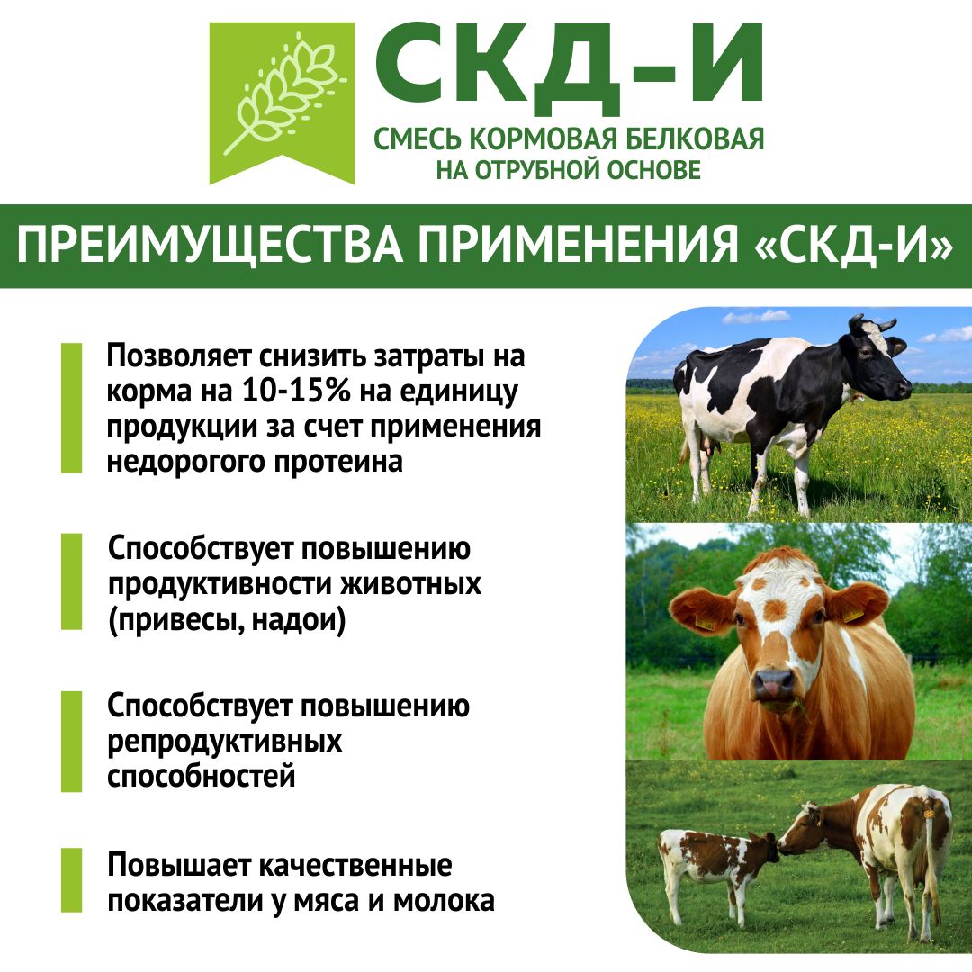 Кормовая добавка в комбикорм для животных (КРС - коровы, телята) СКД-И на Отрубной основе (замена кормовым дрожжам). РОСАГРОКОРМ. 1 кг