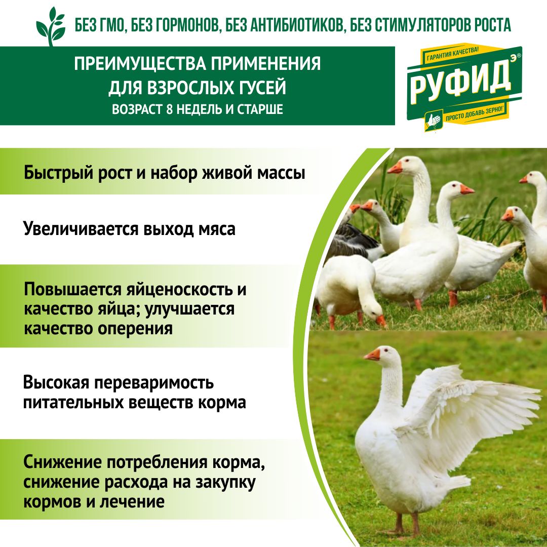 Витамины для птиц. Добавка в комбикорм. Корм гусят, гусей старше 8 недель. БВМК РУФИДэ. РОСАГРОКОРМ. 10 кг
