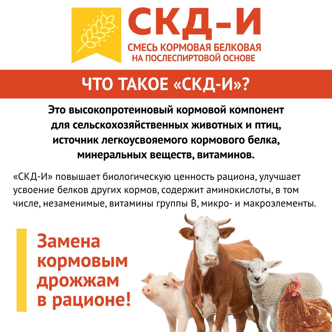 Кормовая добавка в комбикорм для птиц (куры-несушки и бройлеры) и животных (свиньи, поросята, коровы, телята) СКД-И на Послеспиртовой основе (замена кормовым дрожжам). РОСАГРОКОРМ. 1 кг